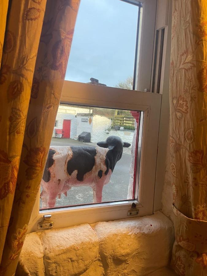 Nellie'S Farmhouse Carlingford Exterior foto